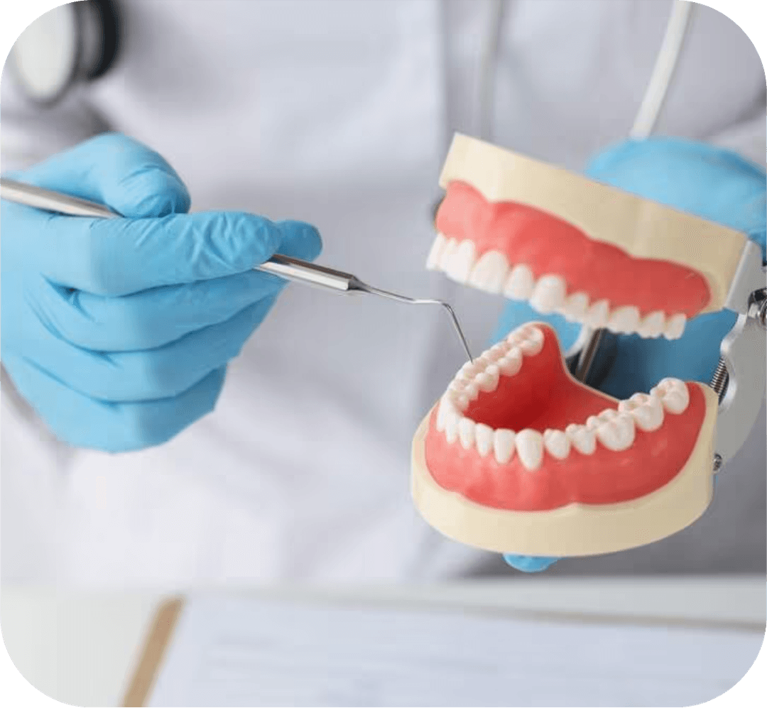 Dental Support Services